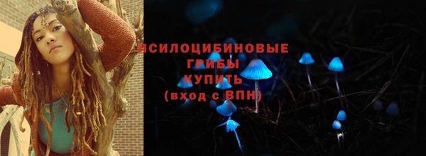 скорость Богородск
