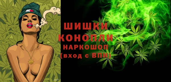 скорость Богородск