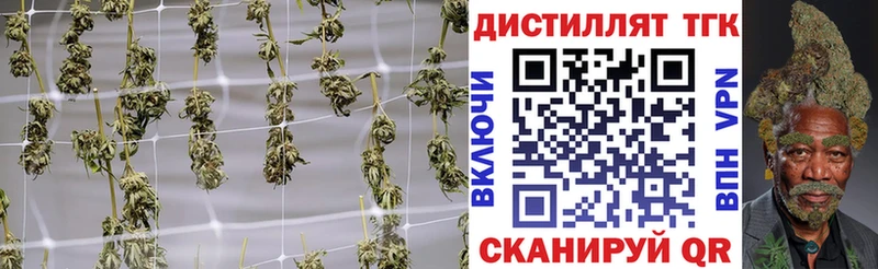 ТГК вейп  закладки  Гудермес 