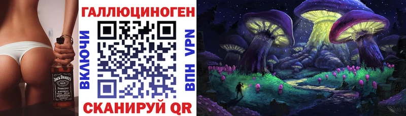 Псилоцибиновые грибы мухоморы  где продают   Гудермес 