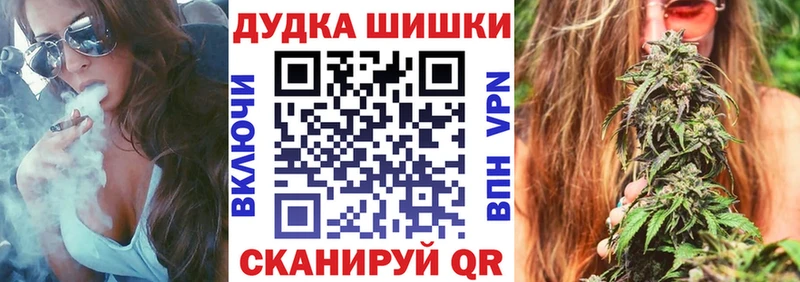 Бошки Шишки план Гудермес